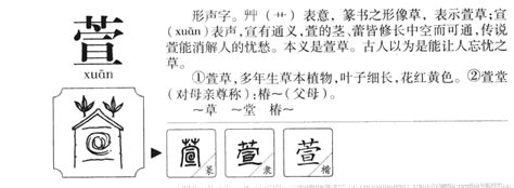 萱姓名學|萱字起名寓意、萱字五行和姓名学含义